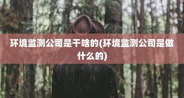 环境监测公司是干啥的(环境监测公司是做什么的)