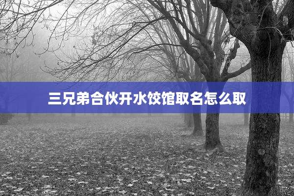 三兄弟合伙开水饺馆取名怎么取