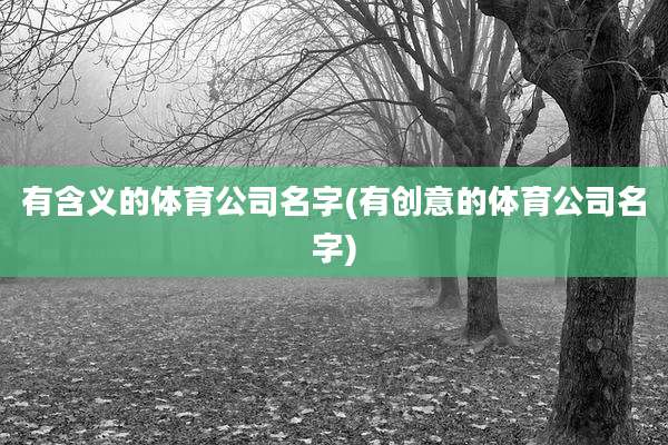 有含义的体育公司名字(有创意的体育公司名字)