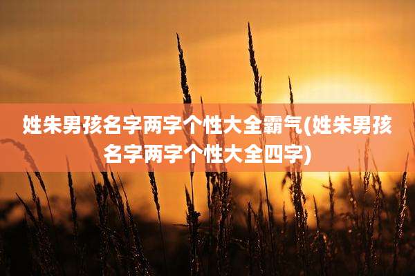 姓朱男孩名字两字个性大全霸气(姓朱男孩名字两字个性大全四字)