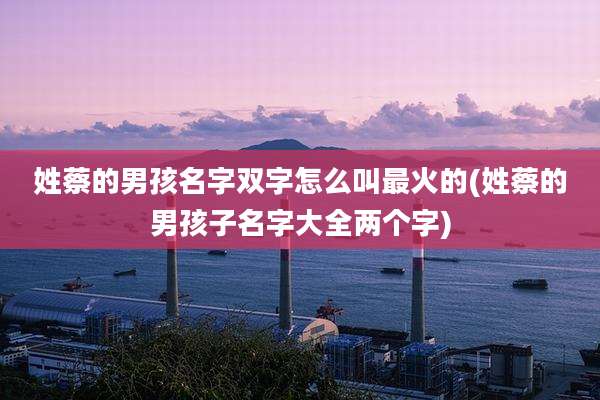 姓蔡的男孩名字双字怎么叫最火的(姓蔡的男孩子名字大全两个字)
