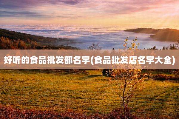好听的食品批发部名字(食品批发店名字大全)