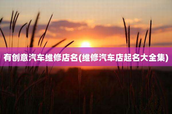 有创意汽车维修店名(维修汽车店起名大全集)