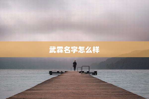 武霖名字怎么样