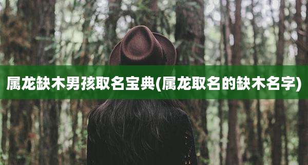 属龙缺木男孩取名宝典(属龙取名的缺木名字)