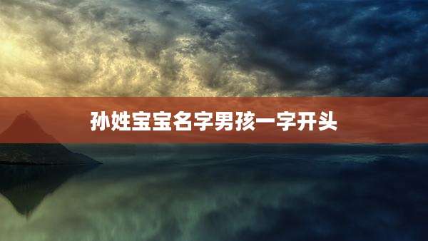 孙姓宝宝名字男孩一字开头