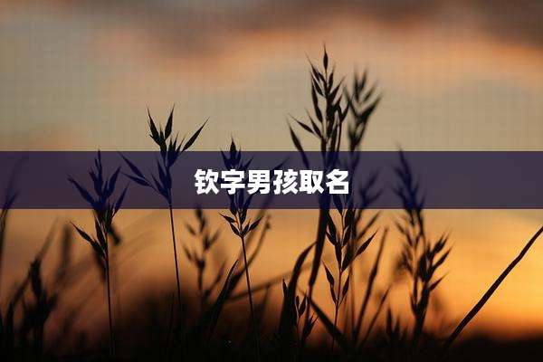 钦字男孩取名