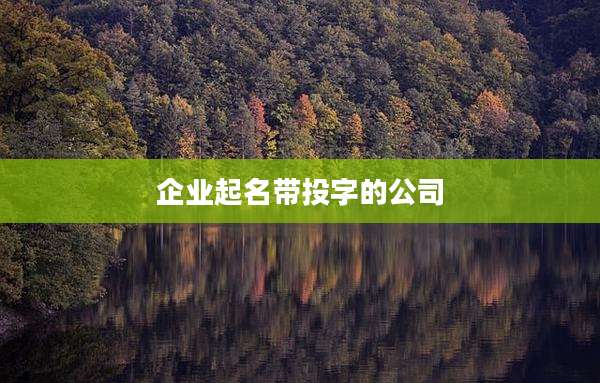 企业起名带投字的公司