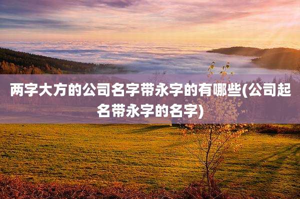 两字大方的公司名字带永字的有哪些(公司起名带永字的名字)