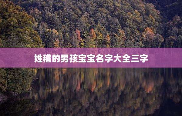 姓稽的男孩宝宝名字大全三字