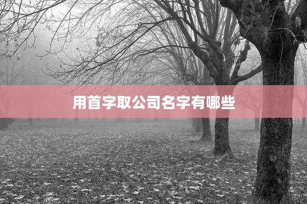 用首字取公司名字有哪些