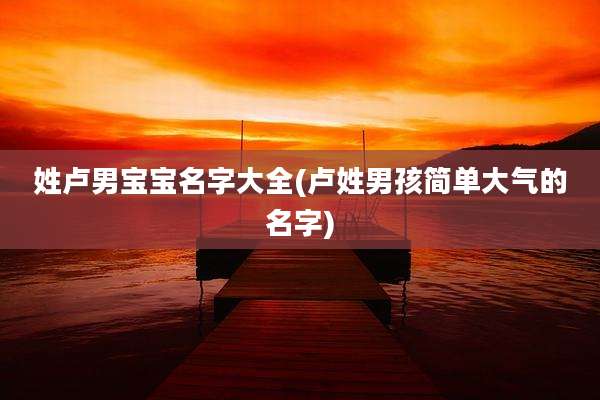 姓卢男宝宝名字大全(卢姓男孩简单大气的名字)