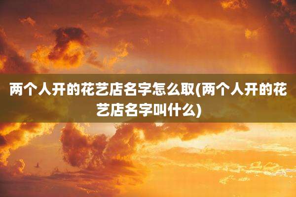 两个人开的花艺店名字怎么取(两个人开的花艺店名字叫什么)