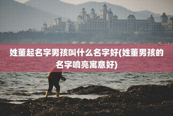 姓董起名字男孩叫什么名字好(姓董男孩的名字响亮寓意好)