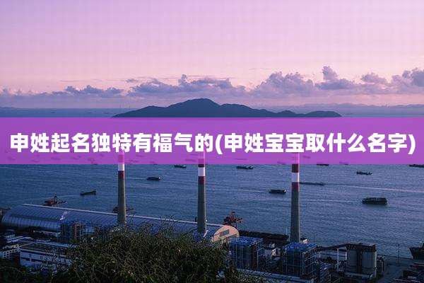 申姓起名独特有福气的(申姓宝宝取什么名字)