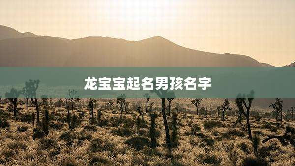 龙宝宝起名男孩名字