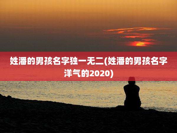 姓潘的男孩名字独一无二(姓潘的男孩名字洋气的2020)
