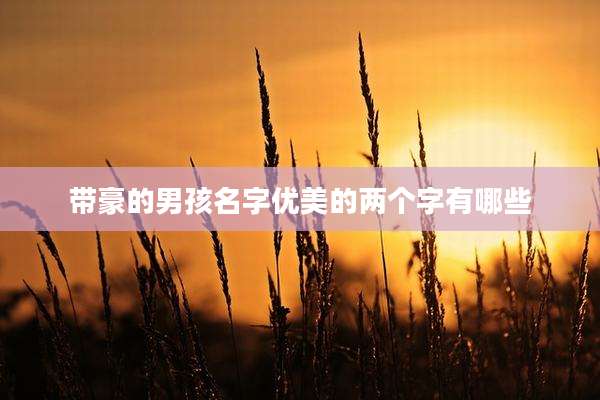 带豪的男孩名字优美的两个字有哪些