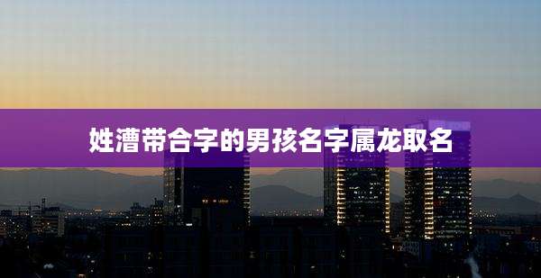 姓漕带合字的男孩名字属龙取名