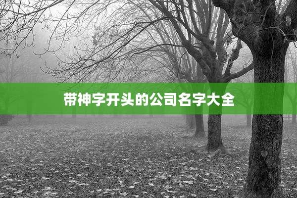 带神字开头的公司名字大全