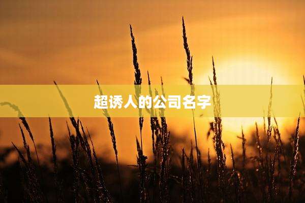 超诱人的公司名字
