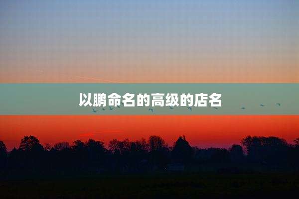以鹏命名的高级的店名