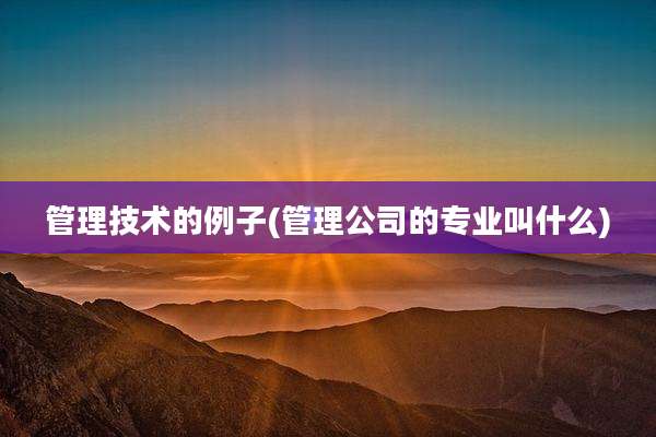 管理技术的例子(管理公司的专业叫什么)