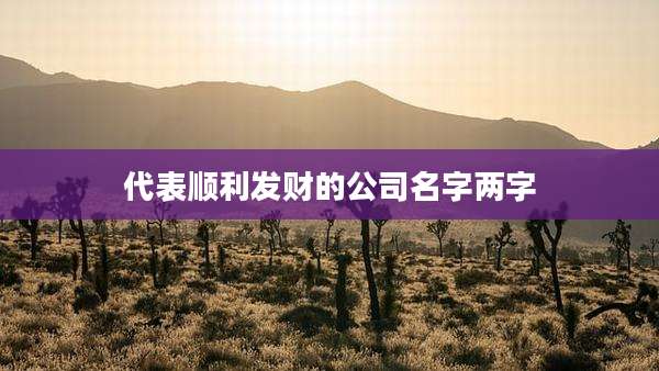 代表顺利发财的公司名字两字