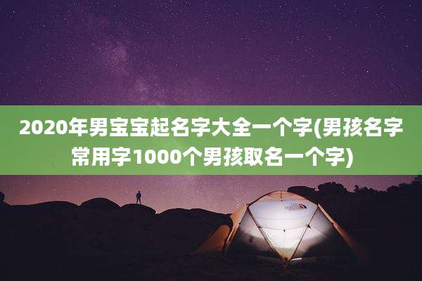 2020年男宝宝起名字大全一个字(男孩名字常用字1000个男孩取名一个字)