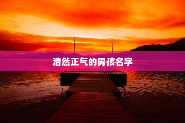 浩然正气的男孩名字