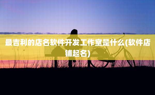 最吉利的店名软件开发工作室是什么(软件店铺起名)