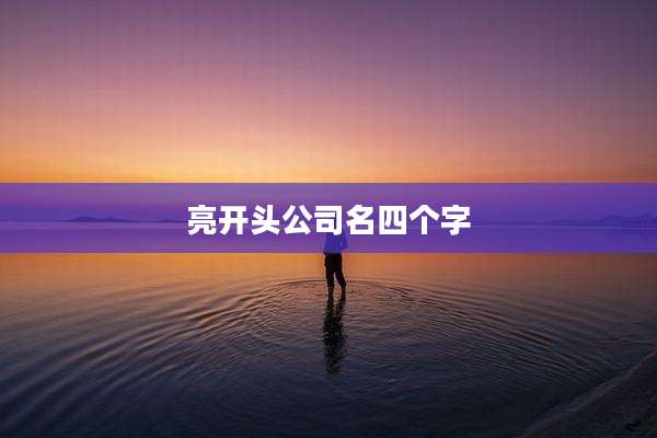 亮开头公司名四个字