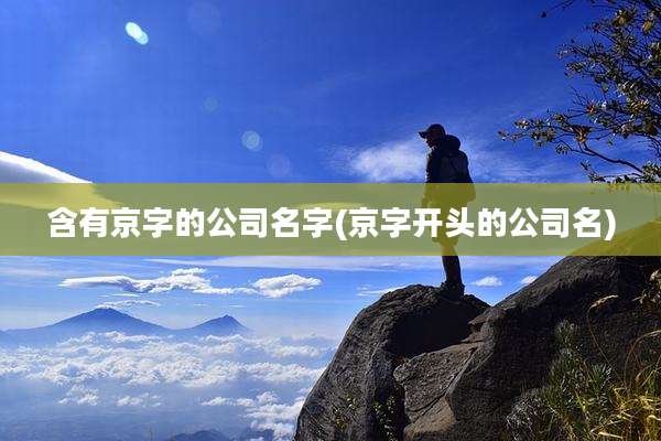 含有京字的公司名字(京字开头的公司名)
