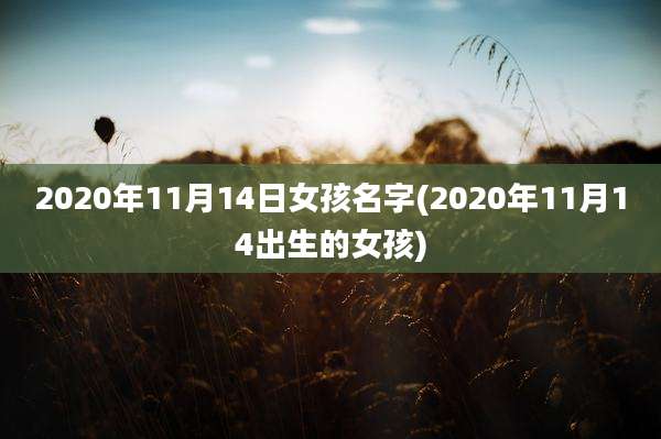 2020年11月14日女孩名字(2020年11月14出生的女孩)