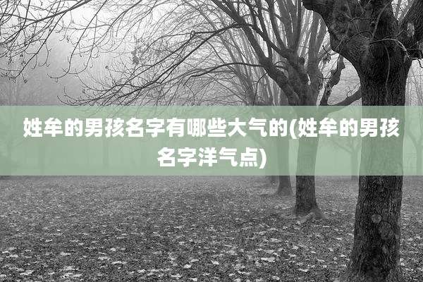 姓牟的男孩名字有哪些大气的(姓牟的男孩名字洋气点)