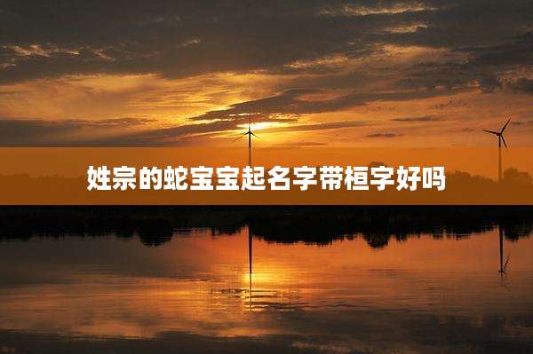 姓宗的蛇宝宝起名字带桓字好吗