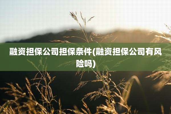 融资担保公司担保条件(融资担保公司有风险吗)