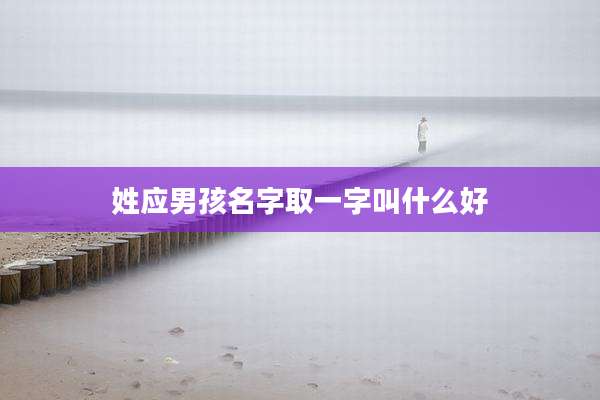 姓应男孩名字取一字叫什么好