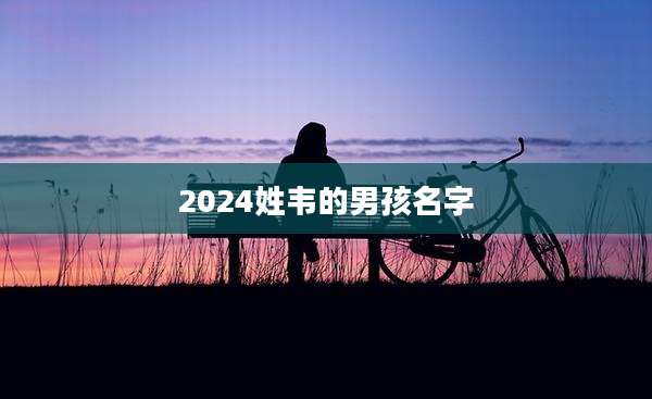 2024姓韦的男孩名字