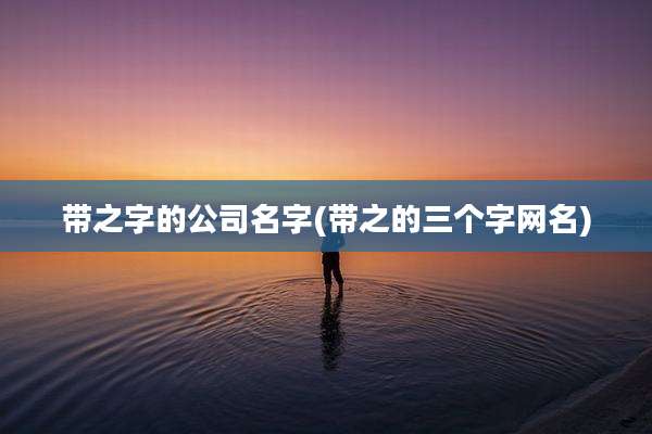带之字的公司名字(带之的三个字网名)