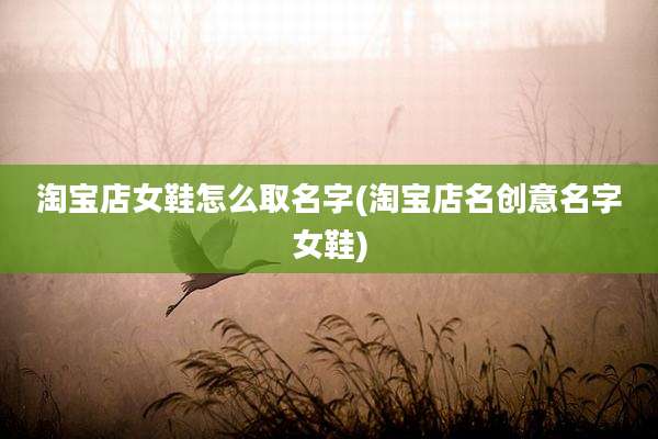 淘宝店女鞋怎么取名字(淘宝店名创意名字女鞋)