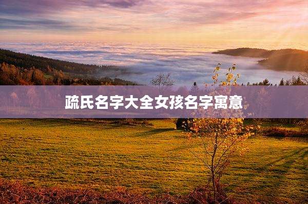 疏氏名字大全女孩名字寓意