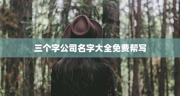 三个字公司名字大全免费帮写