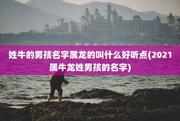 姓牛的男孩名字属龙的叫什么好听点(2021属牛龙姓男孩的名字)