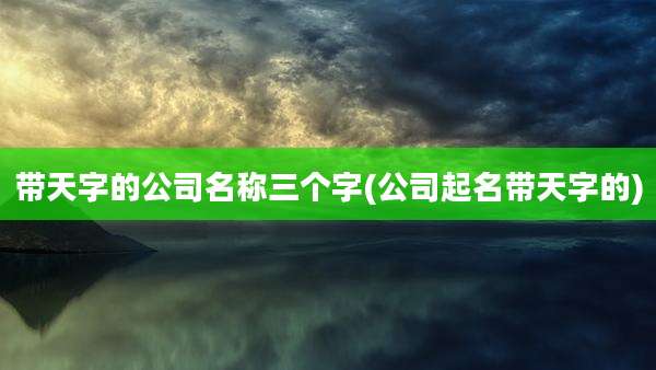 带天字的公司名称三个字(公司起名带天字的)