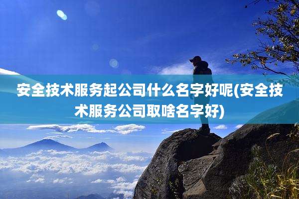安全技术服务起公司什么名字好呢(安全技术服务公司取啥名字好)