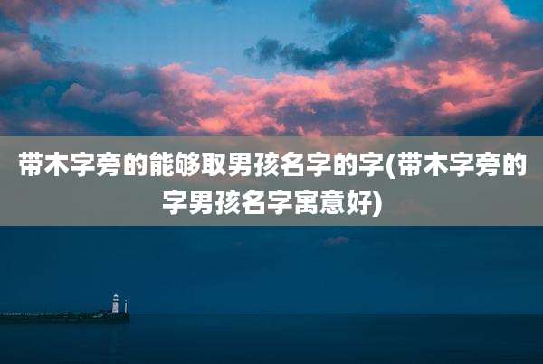 带木字旁的能够取男孩名字的字(带木字旁的字男孩名字寓意好)