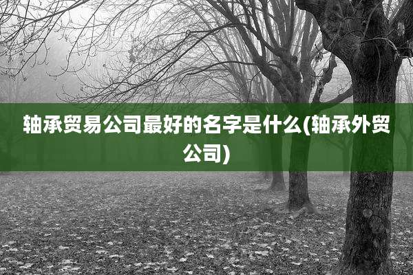 轴承贸易公司最好的名字是什么(轴承外贸公司)