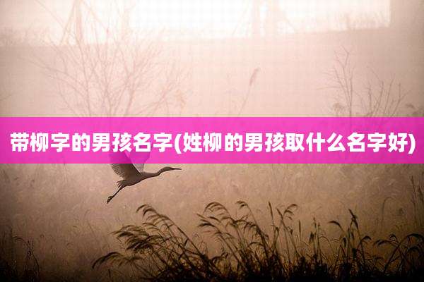 带柳字的男孩名字(姓柳的男孩取什么名字好)