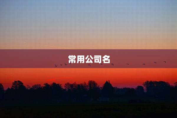 常用公司名